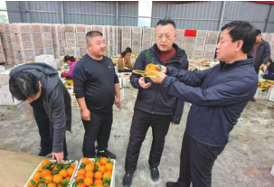 a8c42cb558959af6ad9c55f8267f9e40 J9国际集团(中国)-官方网站